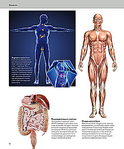 Anatomia człowieka. Wizualny przewodnik po wszystkich systemach organizmu: norma i patologie